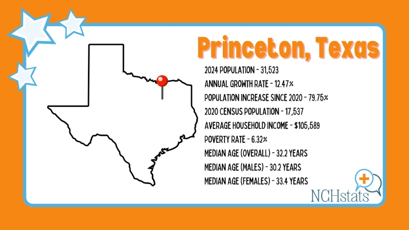 The Image Shows Key Statistics About Princeton, Texas