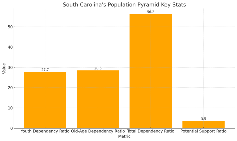 South Carolina's Population Pyramid Key Stats Chart