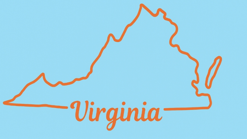 Outline of Virginia with "Virginia Population" written below on a light blue background