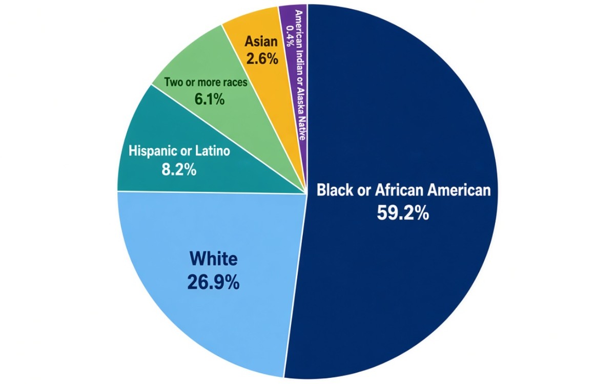 Baltimore demographics