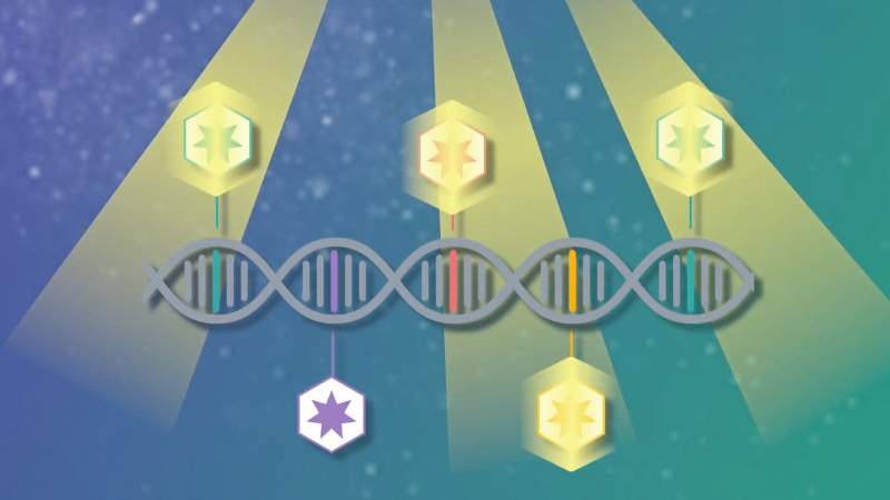 An Illustration Showing Genomic Profiling Related to Stomach Cancer