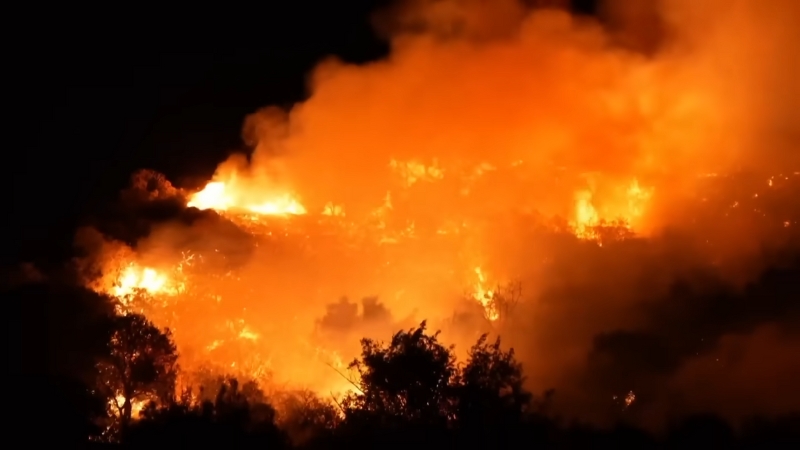 The Image Shows a Fiery Blaze During the Los Angeles Wildfires