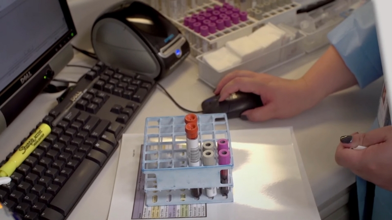 A Healthcare Worker Organizes Lab Samples as Part of NHANES' Data Collection Process