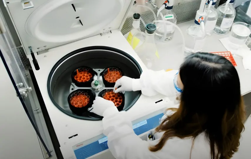 A scientist meticulously loads samples into a centrifuge, preparing for analysis