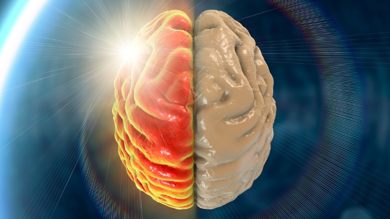 A split brain with one half glowing red, relating to average IQ in the U.S.