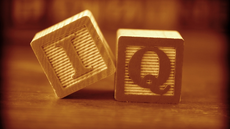 Two wooden blocks, one with "I" and one with "Q," sit on a surface, representing IQ across ages and generations