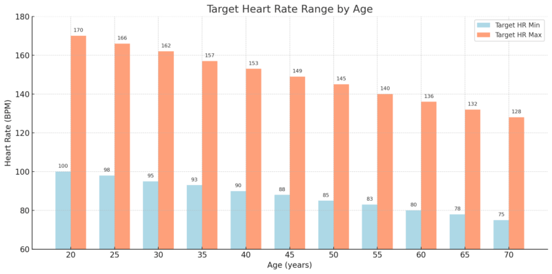 Chart showing the target heart rate zones in light blue and predicted maximum heart rate in orange for each age group