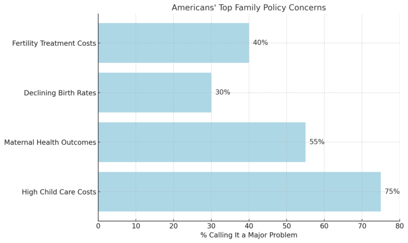 Chart visualizing Americans' top family policy concerns