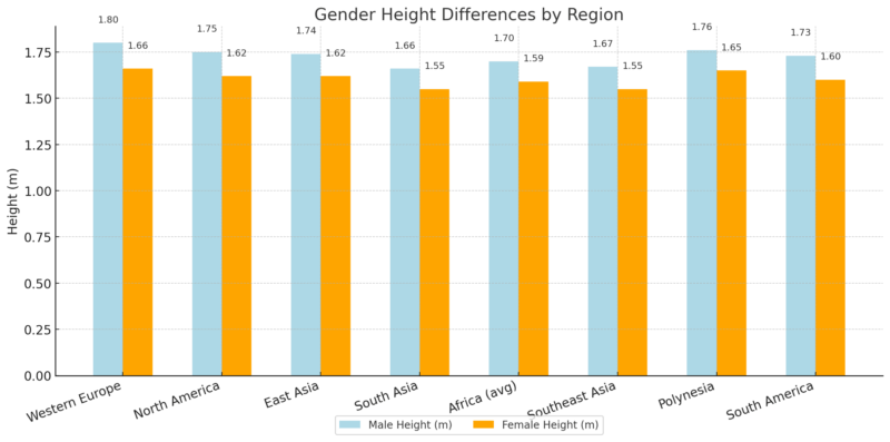 Chart comparing average male and female heights by region