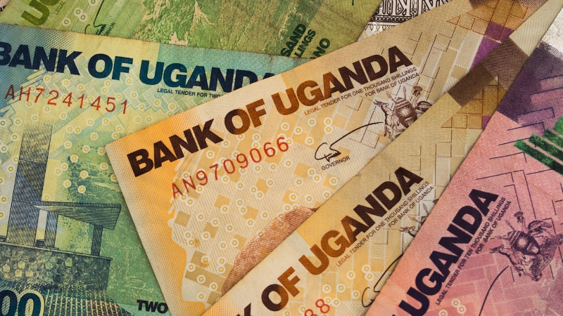 Various Ugandan Shilling banknotes laid out to show why the Shilling is among the world’s lowest-value currencies