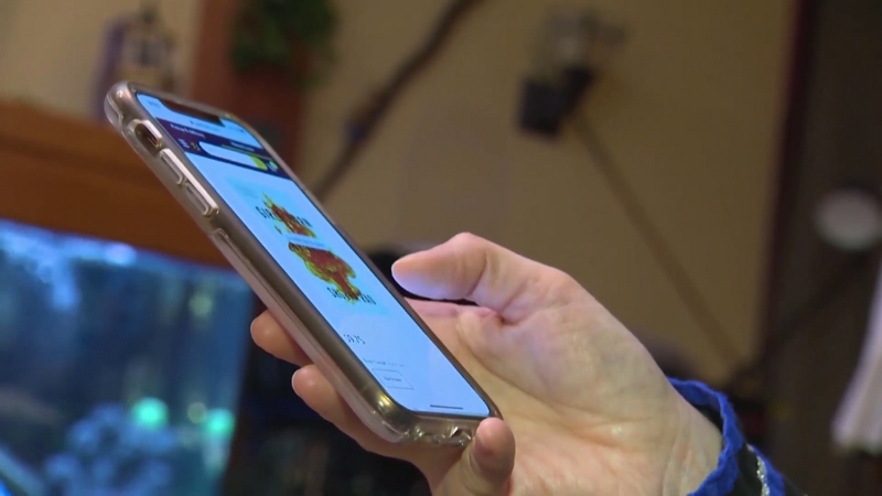 A person holds a smartphone displaying a wellness app