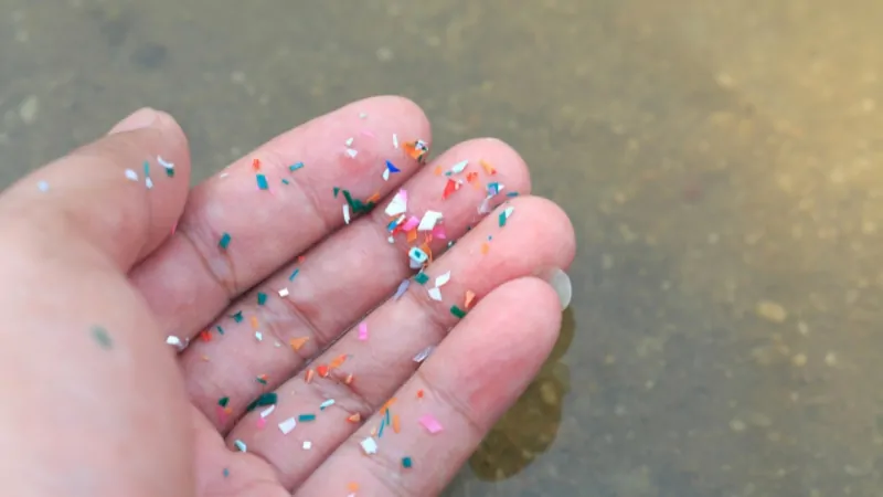 A hand holding tiny colorful microplastic fragments near the water