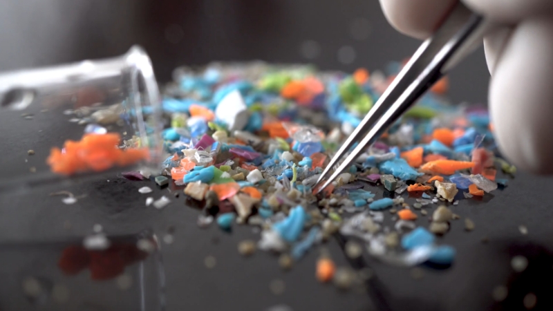 A gloved hand uses tweezers to pick up small colorful microplastic fragments from a surface