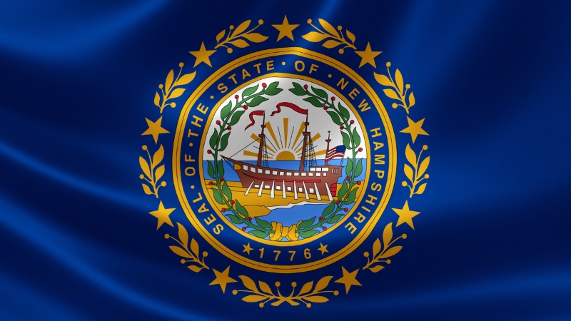 State seal of New Hampshire shown on a blue flag background
