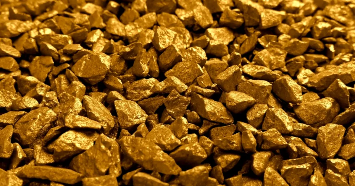 A close view of raw gold ore pieces that represent the scale of the new Quebec gold discovery