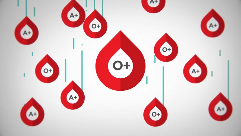 A graphic shows multiple O+ and A+ blood drop icons to represent common blood type frequencies