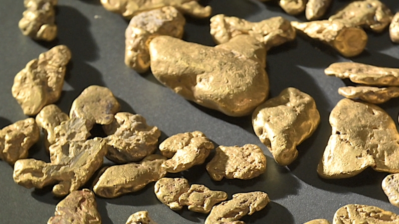 Gold nuggets on a dark surface linked to Quebec’s new gold discovery
