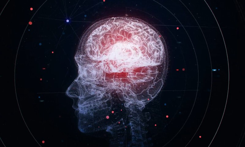 Brain illuminated by red lights against a dark background