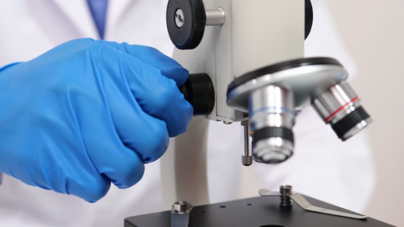 Researcher adjusts a microscope during long-term GPX4 mutation study