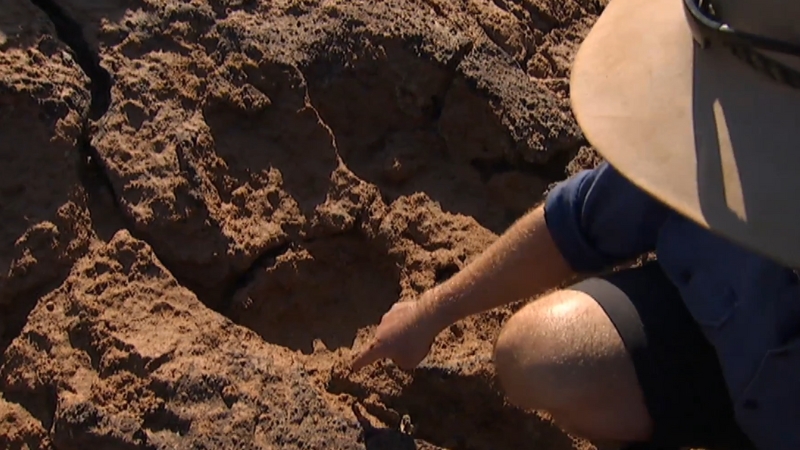 Researcher examines a massive dinosaur footprint embedded in rock along Australiaโs dinosaur coast