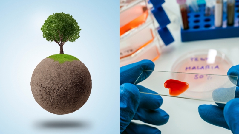 Small Earth with a tree and lab blood sample highlight links between climate shifts and malaria risk