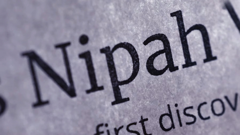Close-up of the word “Nipah” printed in bold text on a page