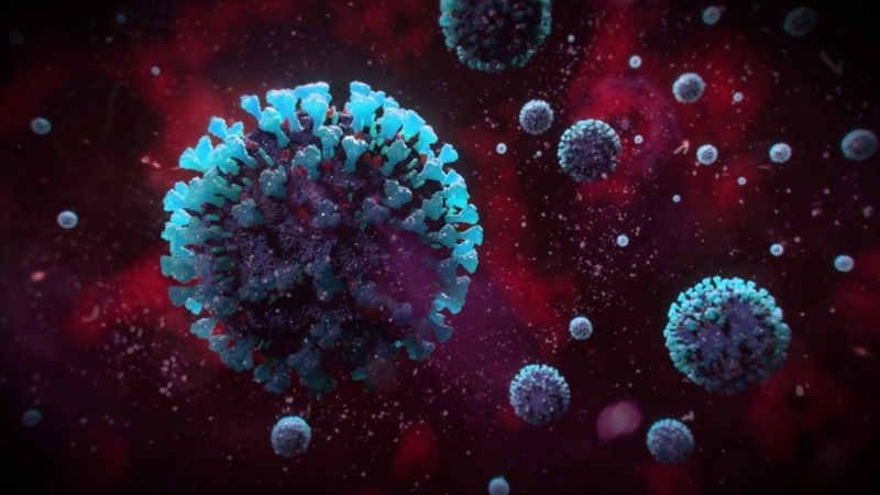 Microscopic view of Influenza A virus particles associated with future pandemic risk