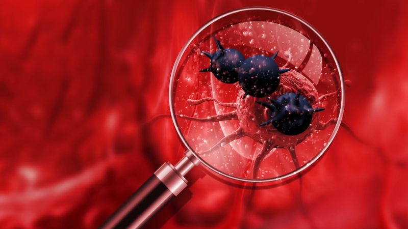 Magnified view of cancer cells and microscopic vesicles interacting in the bloodstream