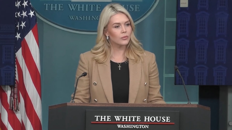A White House spokesperson speaks at the podium during a briefing on Greenland policy