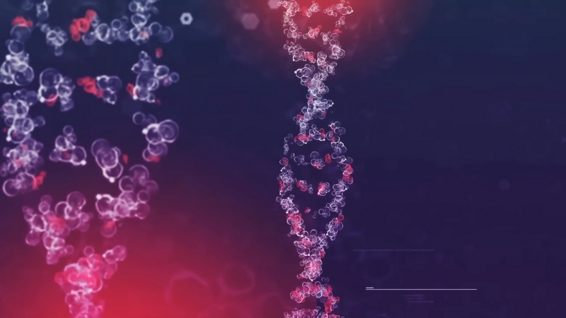 DNA strands highlight inherited genetic traits that influence pain sensitivity