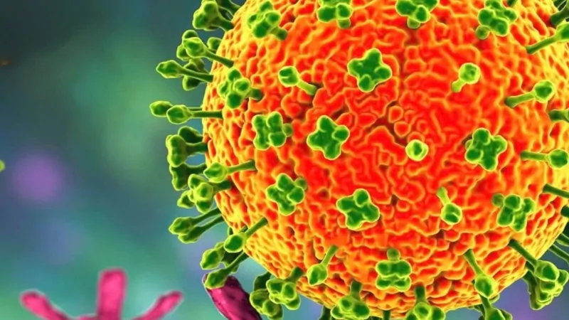 Close-up illustration of the Nipah virus particle showing its surface structure