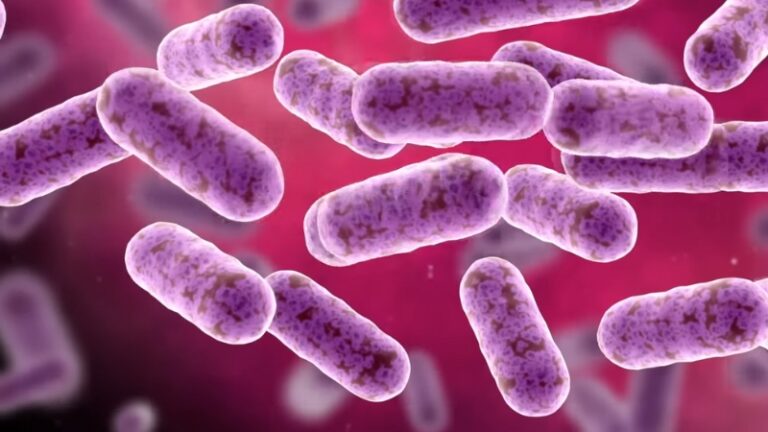 A Newly Discovered Giant Virus Found in a Pond Is Blurring the Line ...