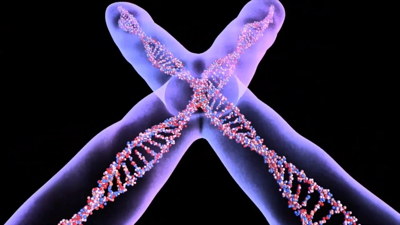 Illustration of a Y chromosome with a DNA double helix structure highlighted in detail