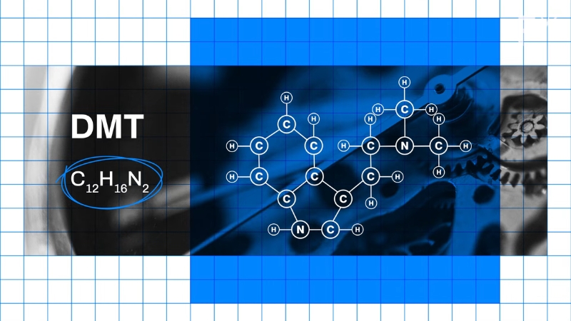 Graphic showing the DMT molecule structure and chemical formula C12H16N2 on a blue background