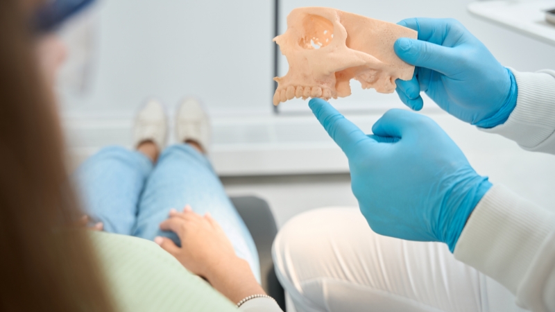 Dentist holding a jaw model during consultation about tooth regrowth treatment options