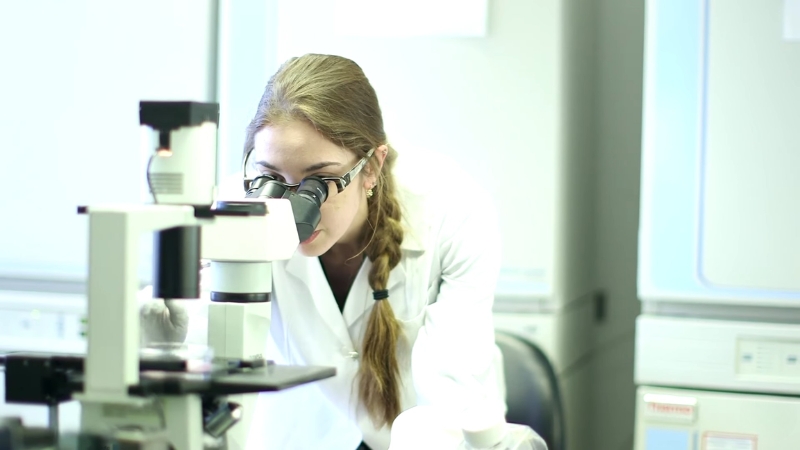 Scientist examining samples under a microscope in a clinical research laboratory