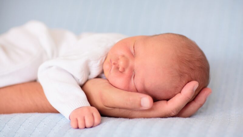 Sleeping newborn resting in an adult’s hand on a soft surface