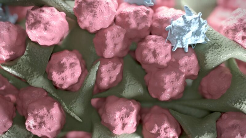 Illustration of pancreatic tumor cells with KRAS-driven growth signals highlighted among surrounding tissue
