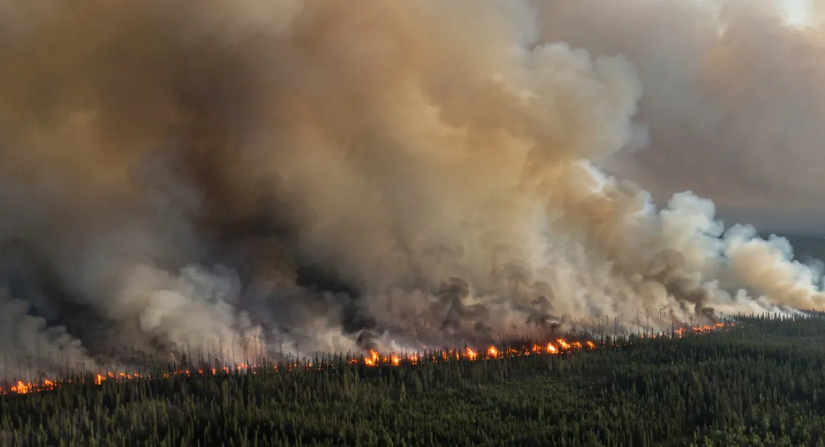 Canada Wildfires Send Dangerous Smoke Into the US