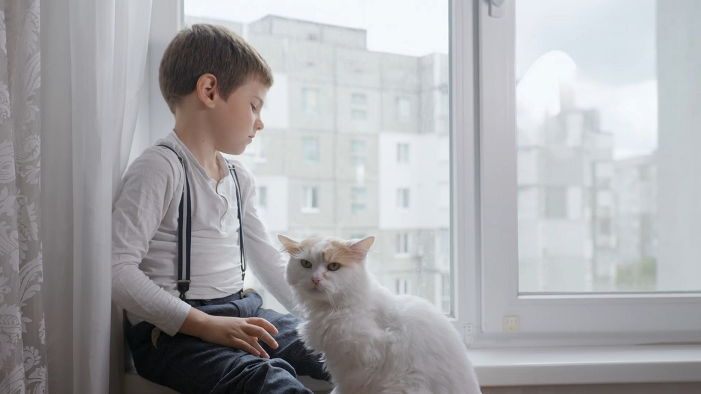Young boy sitting by a window with a white cat, illustrating childhood asthma concerns around pet exposure at home