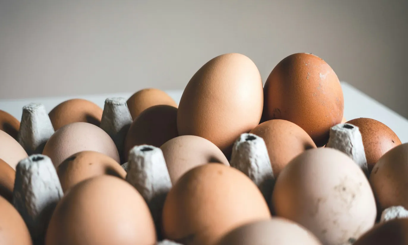 Nearly 19 Million Eggs Recalled Over Salmonella Risk