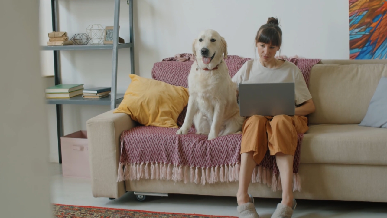 A woman uses a laptop on a sofa beside a golden retriever