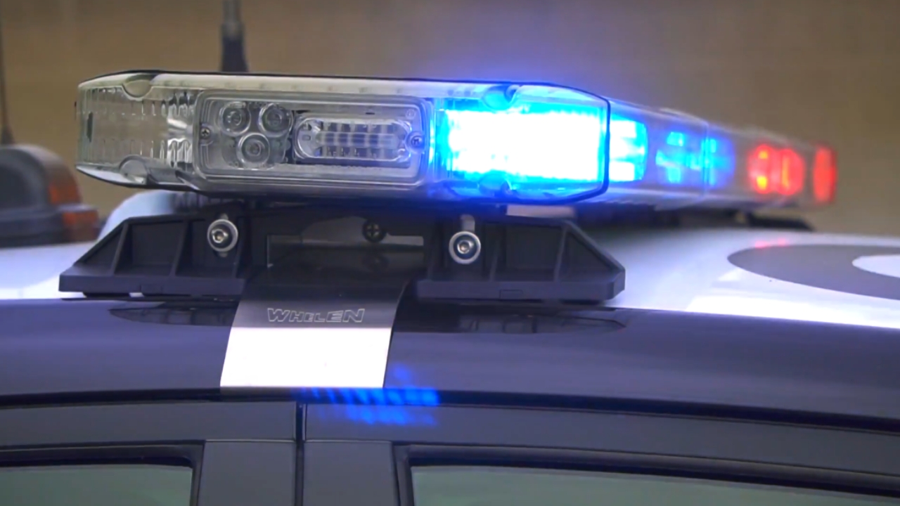 Blue and red police lights on top of a patrol car