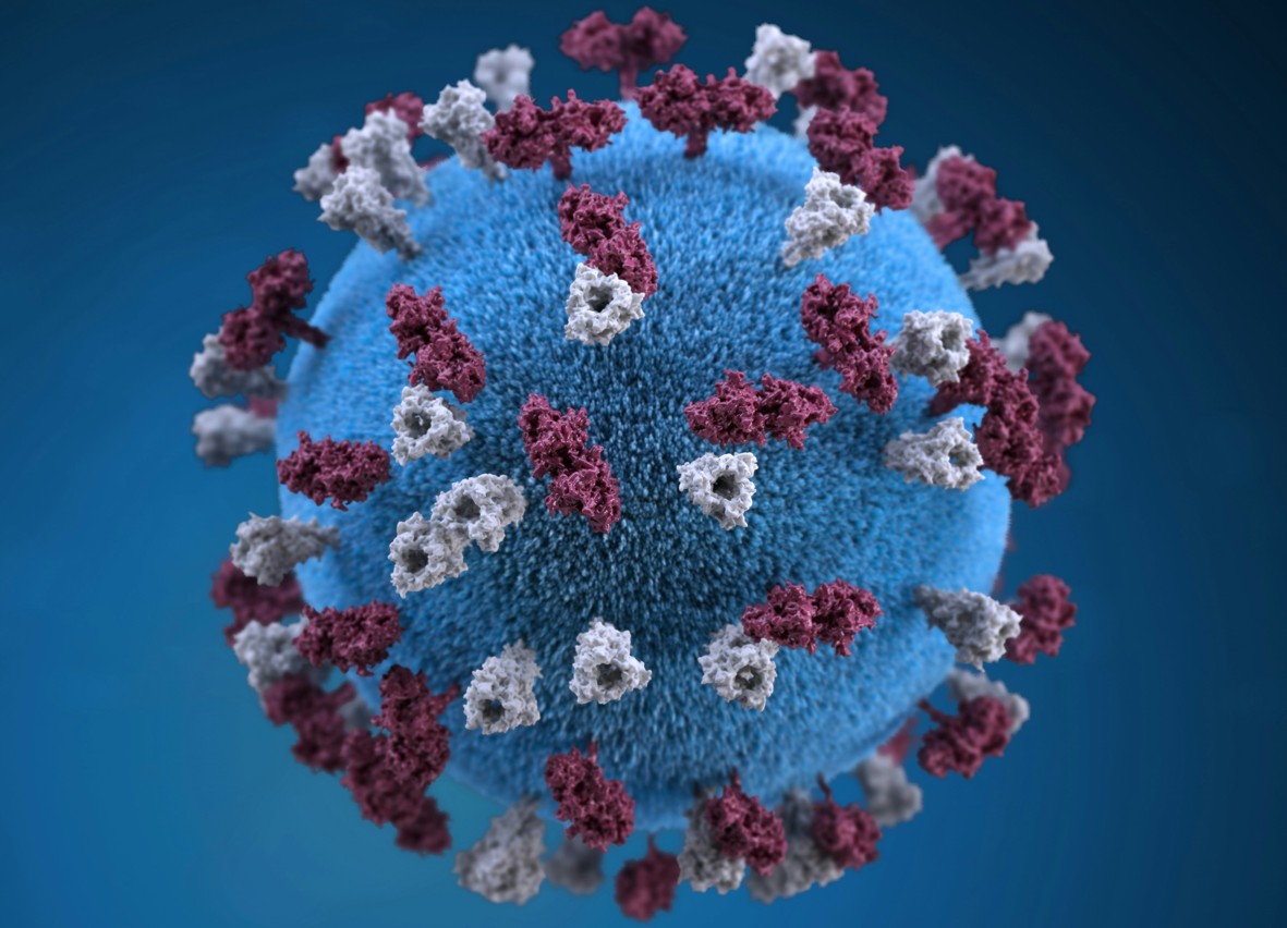An illustration of a spherical-shaped, measles virus particle.