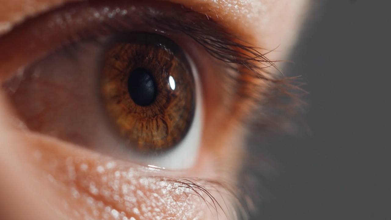Close-up of a brown eye with the iris and pupil in sharp focus