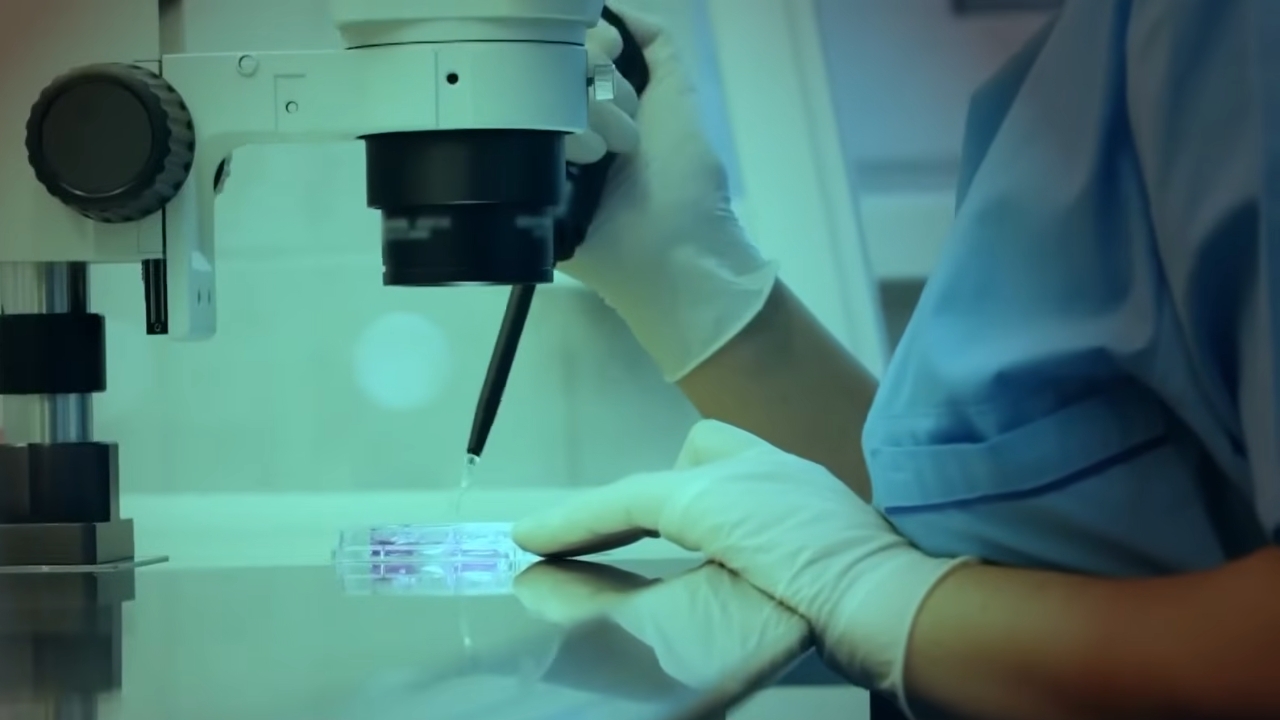 Embryologist examines an embryo sample under a microscope in an IVF lab.
