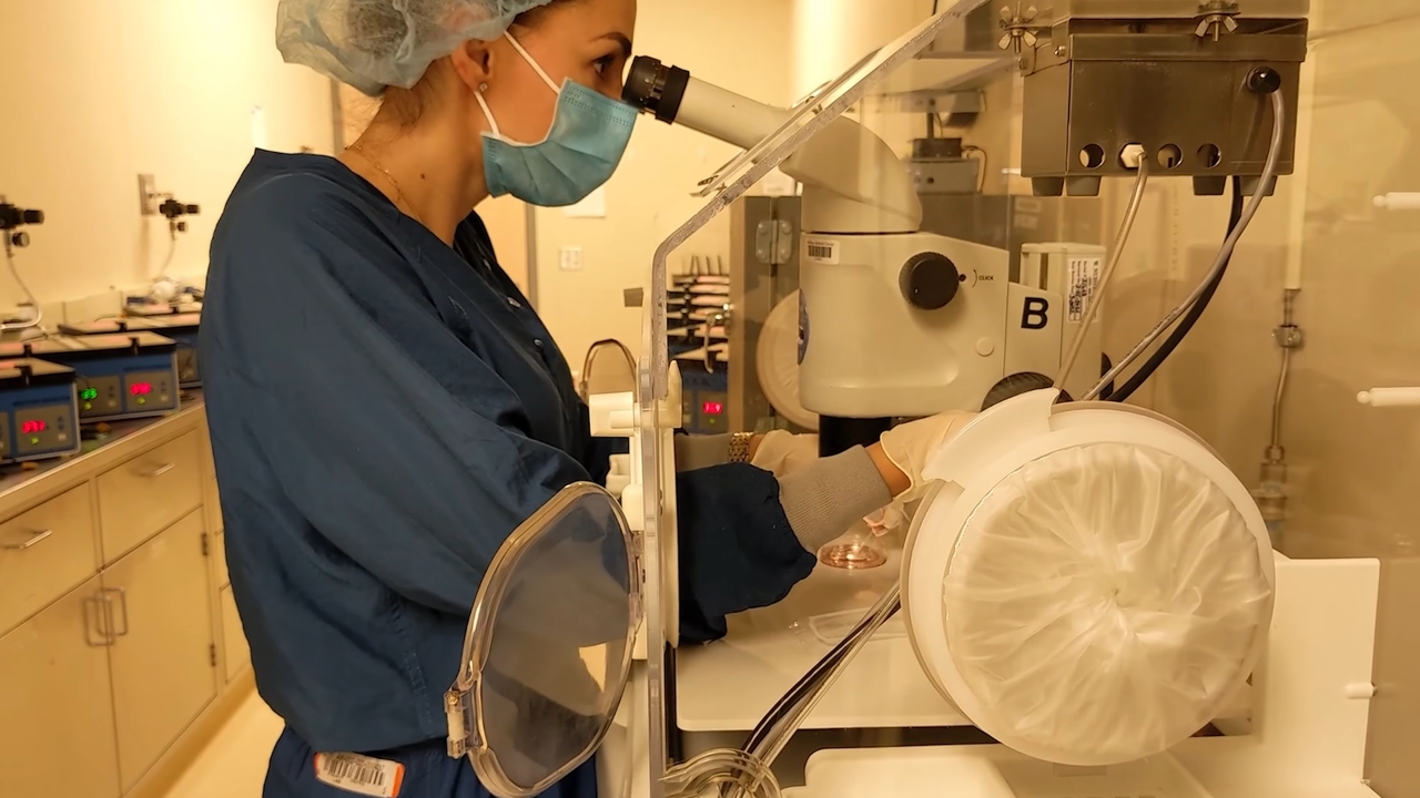 Embryologist examines embryos through a microscope in an IVF laboratory.