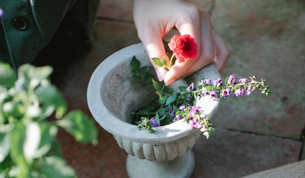 Gardening