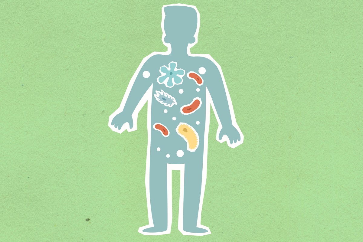 Stomach Bacteria and HPV Were Linked to the Most Cancer Cases
